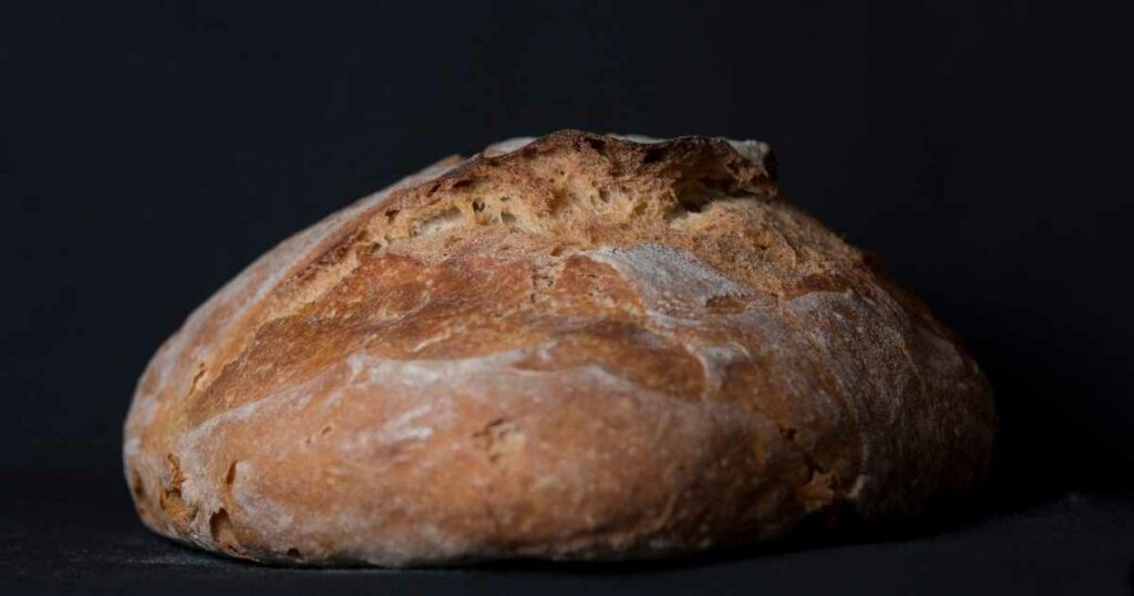 rye bread ergot